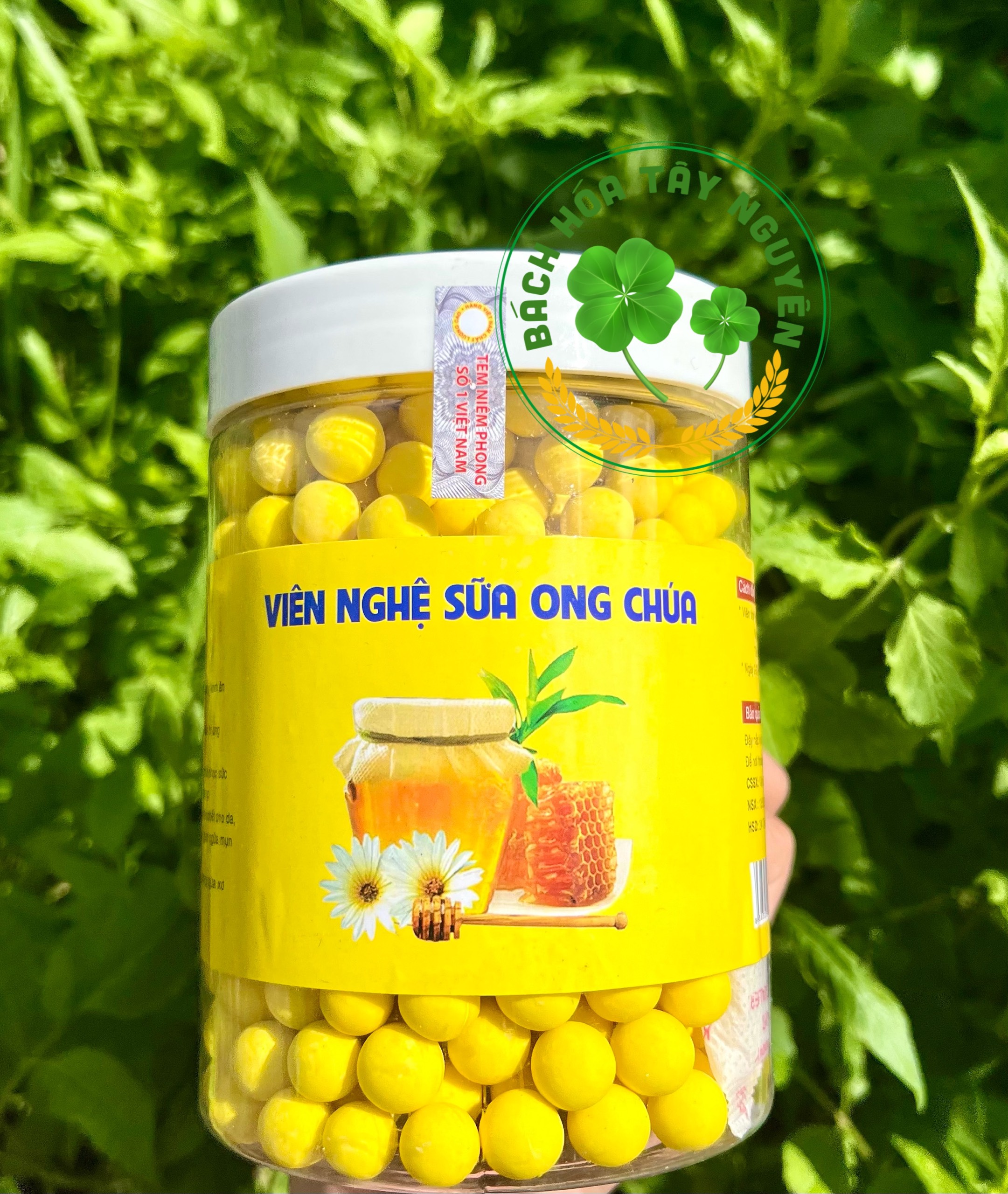 Viên Nghệ Sữa Ong Chúa Hộp 500gr