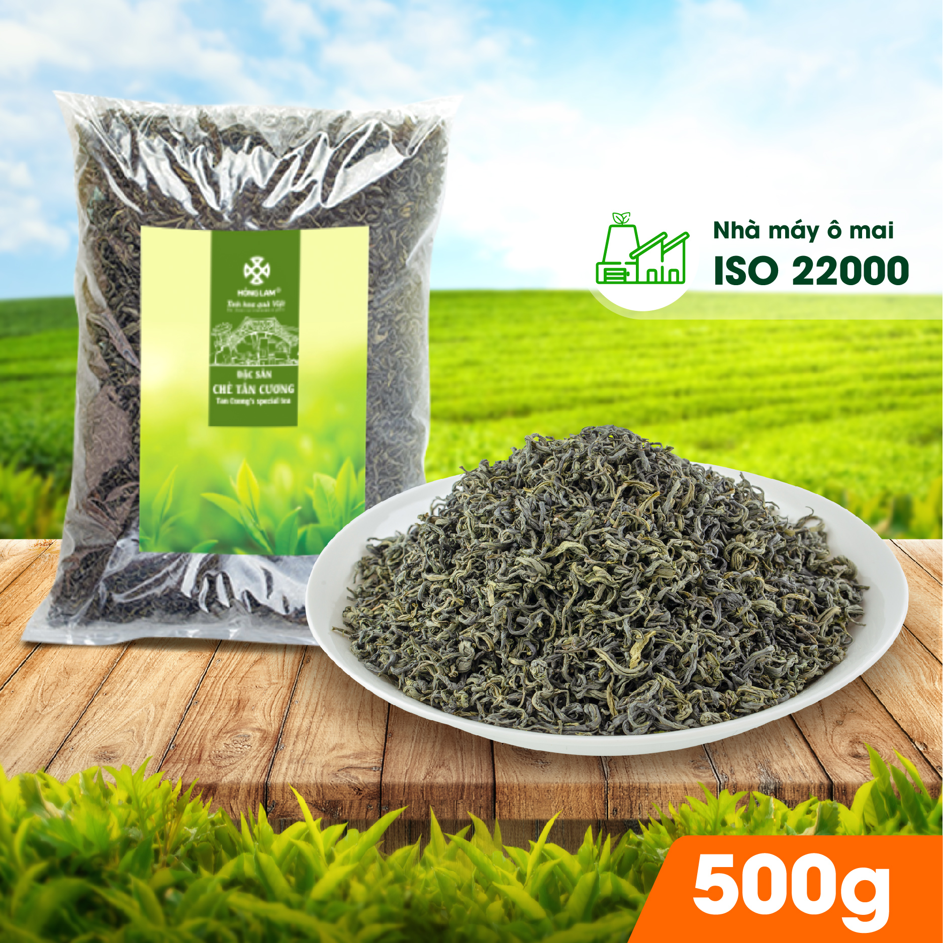 Đặc Sản Chè Tân Cương - Vị Chát Nhẹ Ngọt Hậu