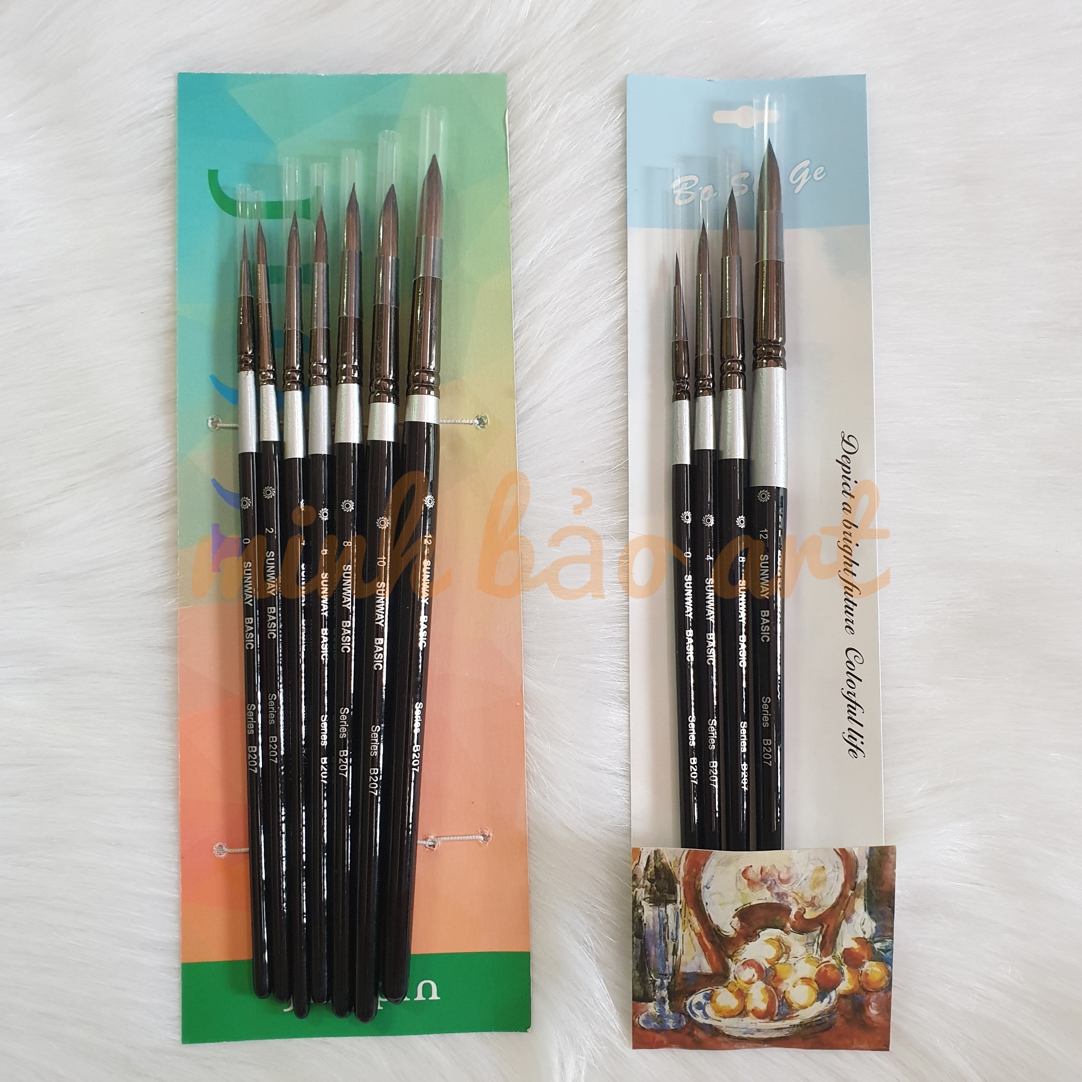 BỘ CỌ LÔNG SÓC CÁN ĐEN SUNWAY B207, CÁN TRẮNG B008