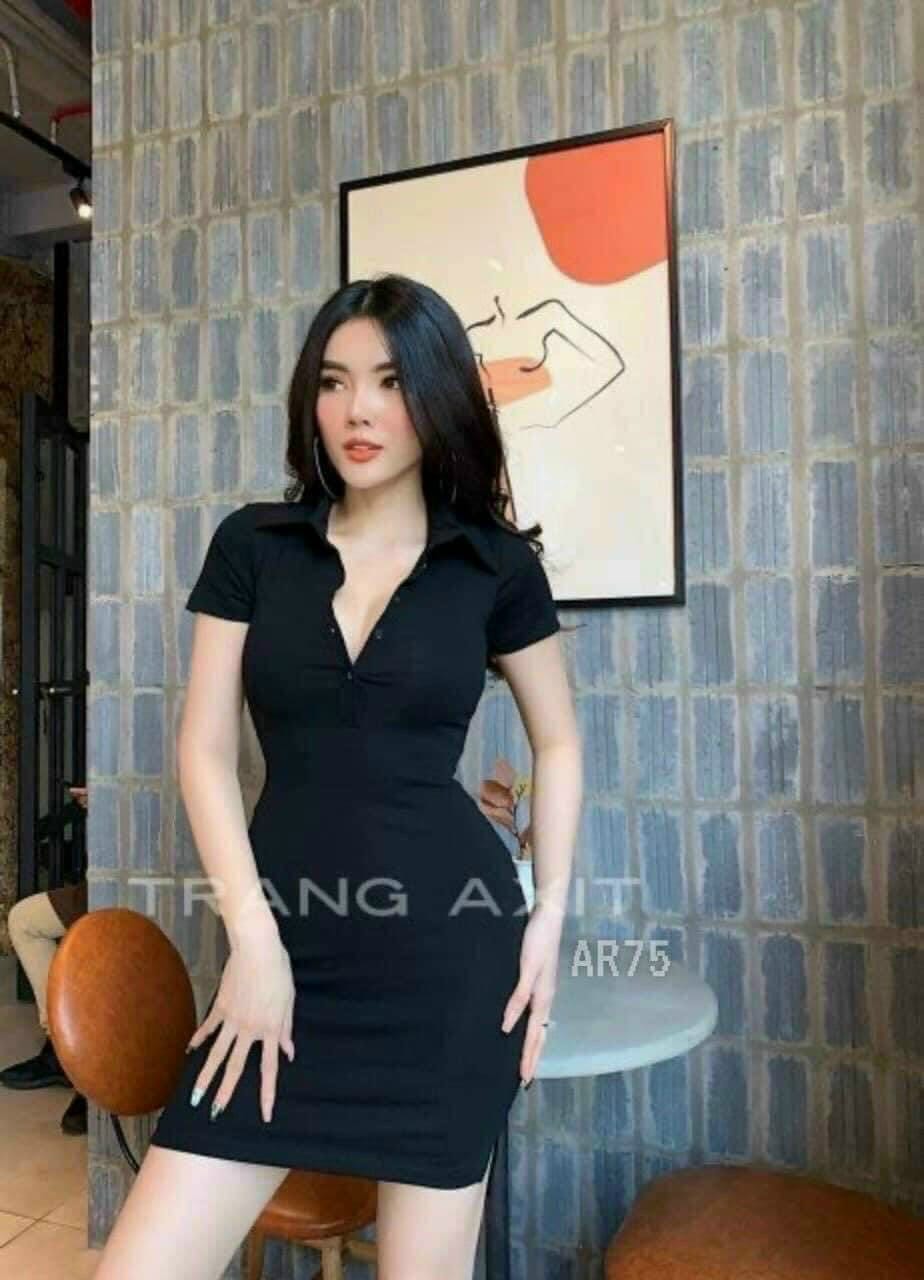 Đầm ôm body cổ trụ sang chảnh 874