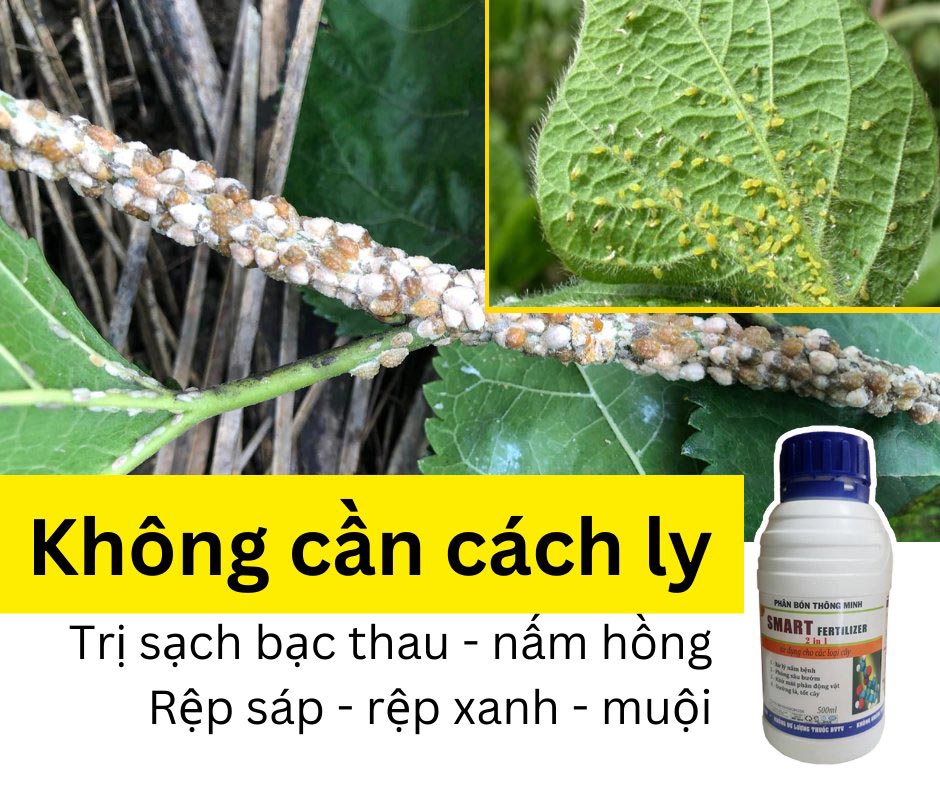 Phân bón thông minh Smart Fertilizer