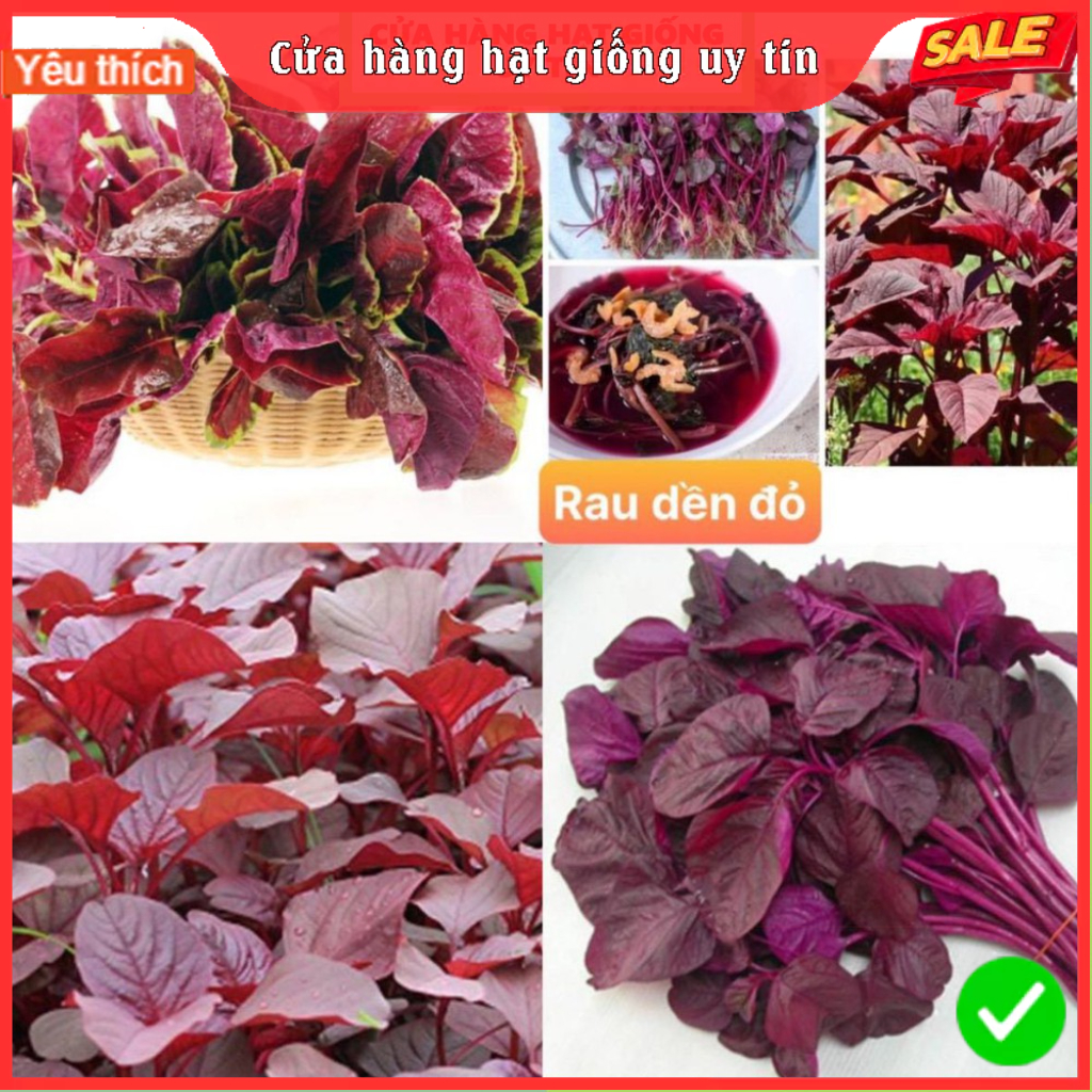 Hạt giống rau dền đỏ /gói 20 gram