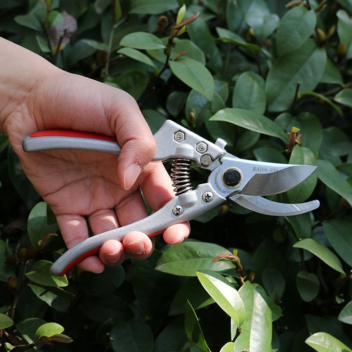 Kéo cắt cành cây SADA-210 Nhật Bản