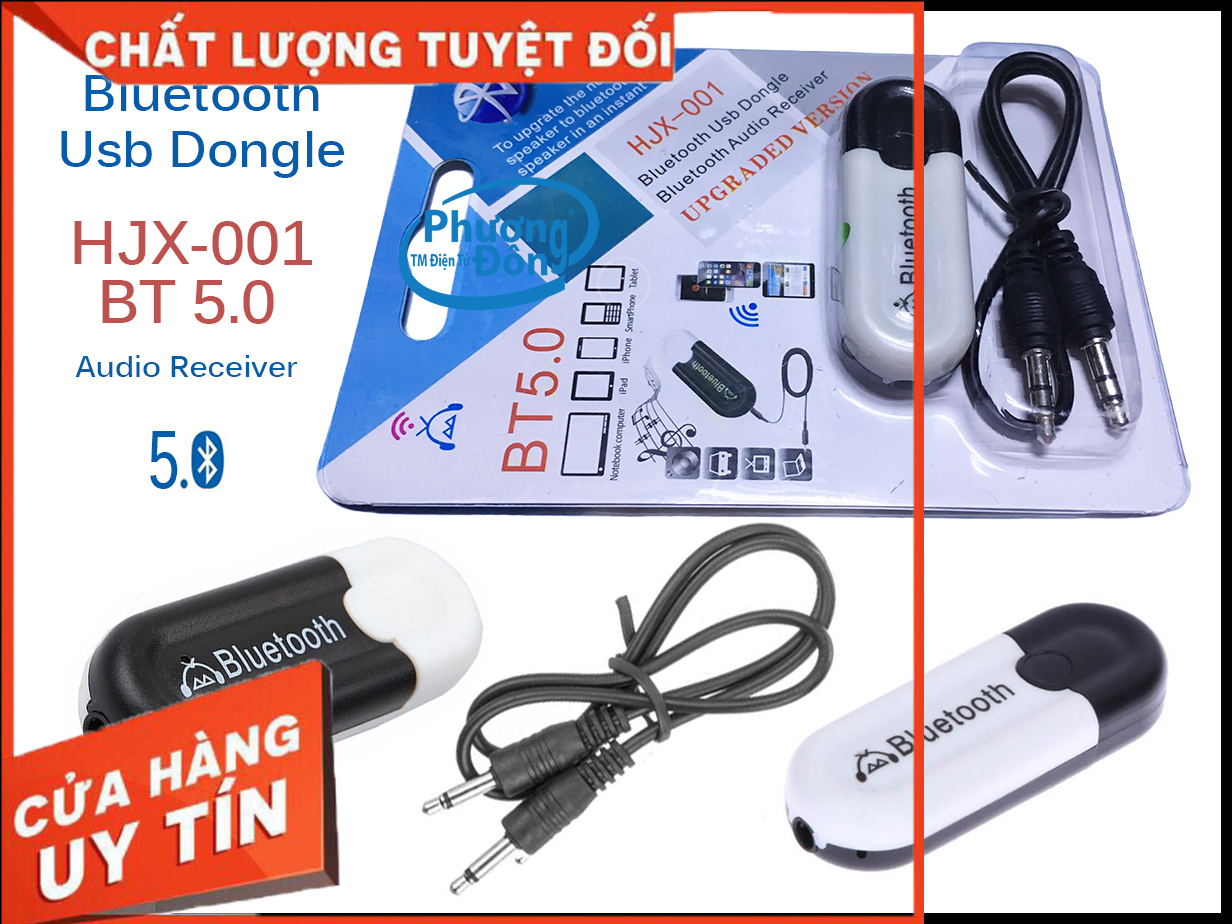 USB Bluetooth DONGLE 5.0 mẫu mới 2020 kết nối Loa Thường thành loa không dây, sử dụng rất bền - Chuyên Hàng Nội Địa China (v2.0)