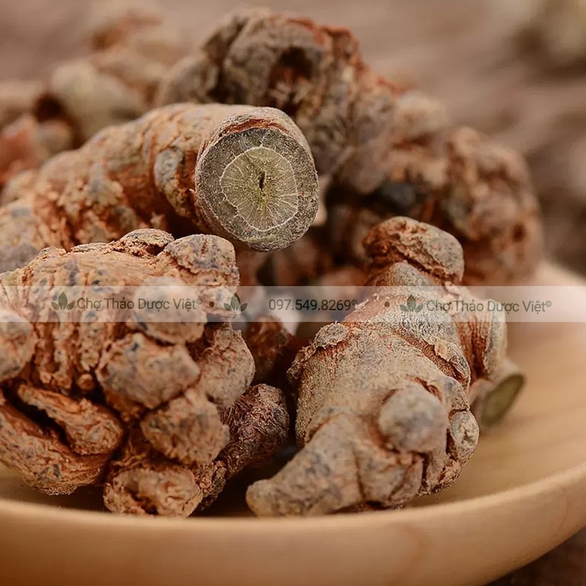 Củ Tam Thất Bắc 500g (7 Củ/100g)