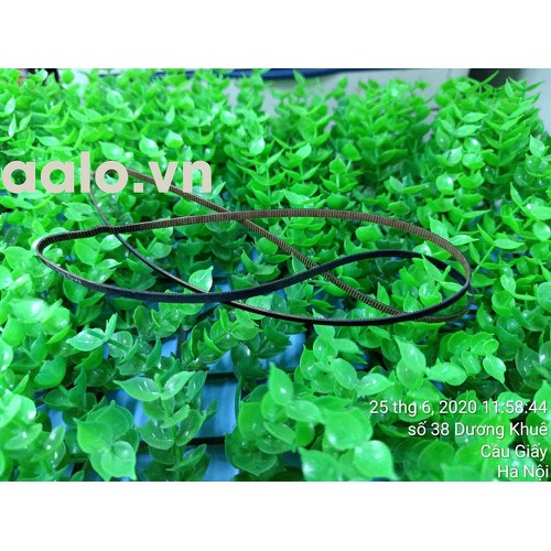 DÂY CUROA MÁY IN PHUN MÀU EPSON L300 L310 L110