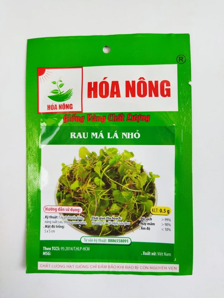 Hạt Giống Rau Má Lá Nhỏ gói 0,5gr