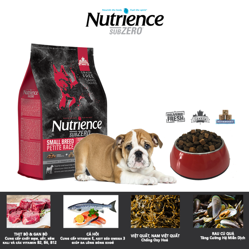 Thức Ăn Hạt Cho Chó Bulldog Nutrience Subzero Thịt Bò, Thịt Cừu, Thịt Gà, Cá Hồi, Cá Trích, Cá Tuyết, Rau Củ, Trái Cây Tự Nhiên, Hỗ Trợ Xương Sụn Cơ Khớp, Phát Triển Cơ Bắp, Da Lông Bóng Mượt, Hệ Tiêu Hóa, Hệ Miễn Dịch Khỏe Mạnh