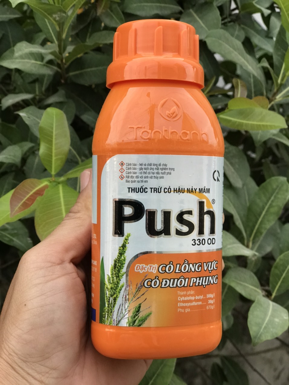thuoc trừ cỏ lồng vực cỏ đuôi phụng PUSH 330EC