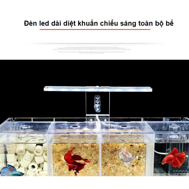[hot sale]Hộp acrylic nuôi cá chọi betta 4 ngăn trong suốt