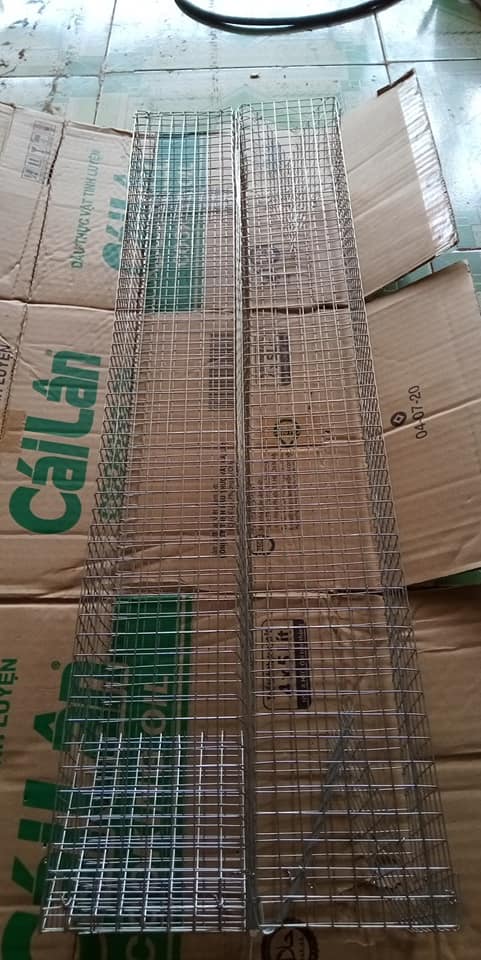 Lồng bẫy rắn 2 hom dài 70cm