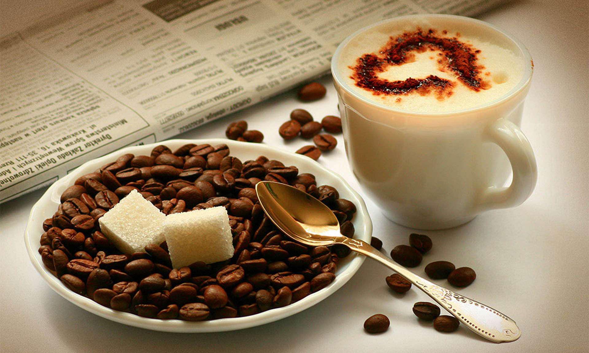 [HCM]Cà phê bột Robusta nguyên chất đặc biệt 500gr - Casa Coffee