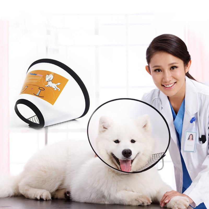 Loa chống liếm cho thú cưng - Loa chống liếm
