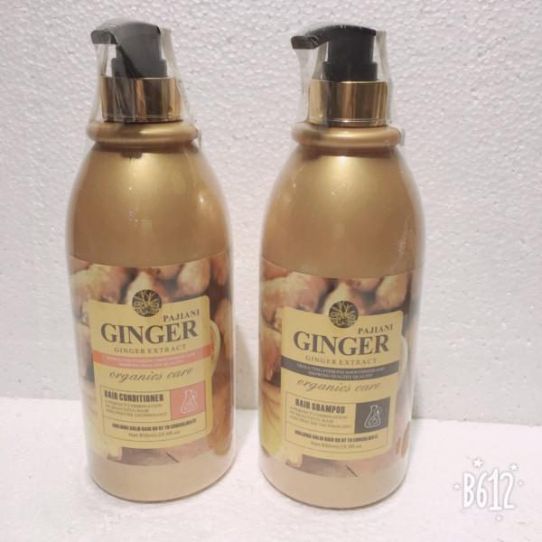 Ginger Shampoo and Conditioner