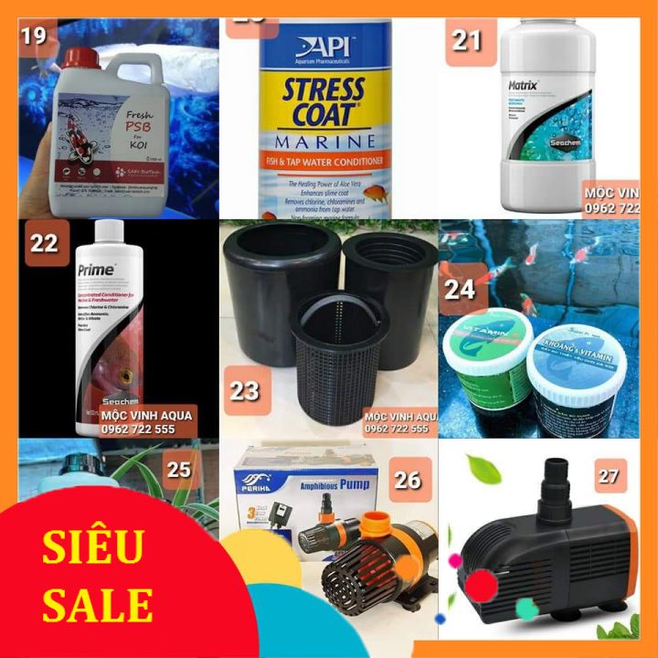 CX247 Ký Sinh Trùng Đơn Bào cho cá Koi chai 0.5lít