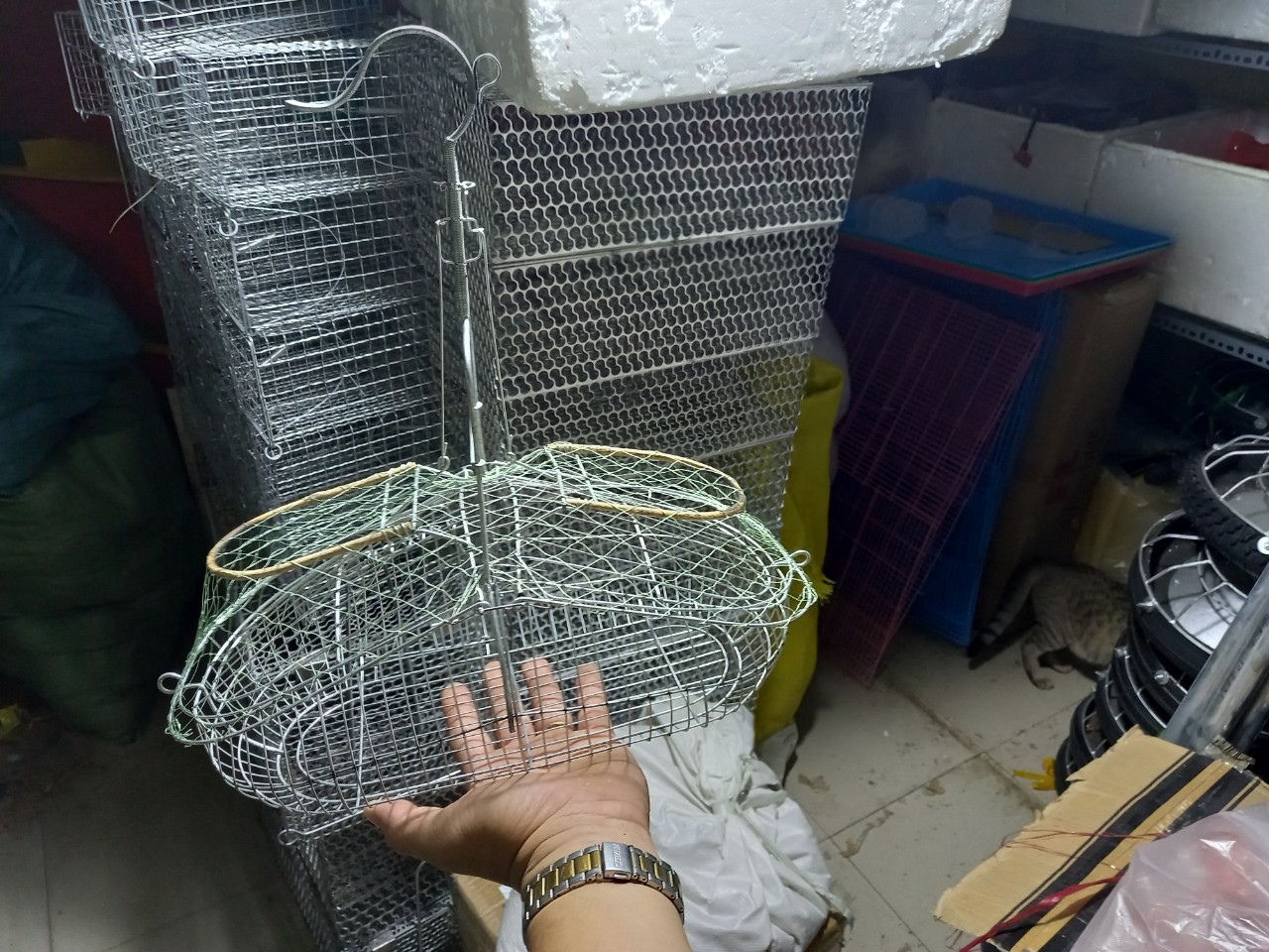 Lụp bẫy chim khuyên, bẫy chim sâu