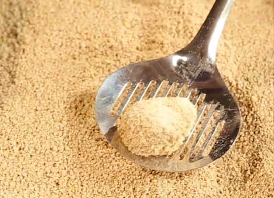WORLD'S BEST sand for cat cleaning