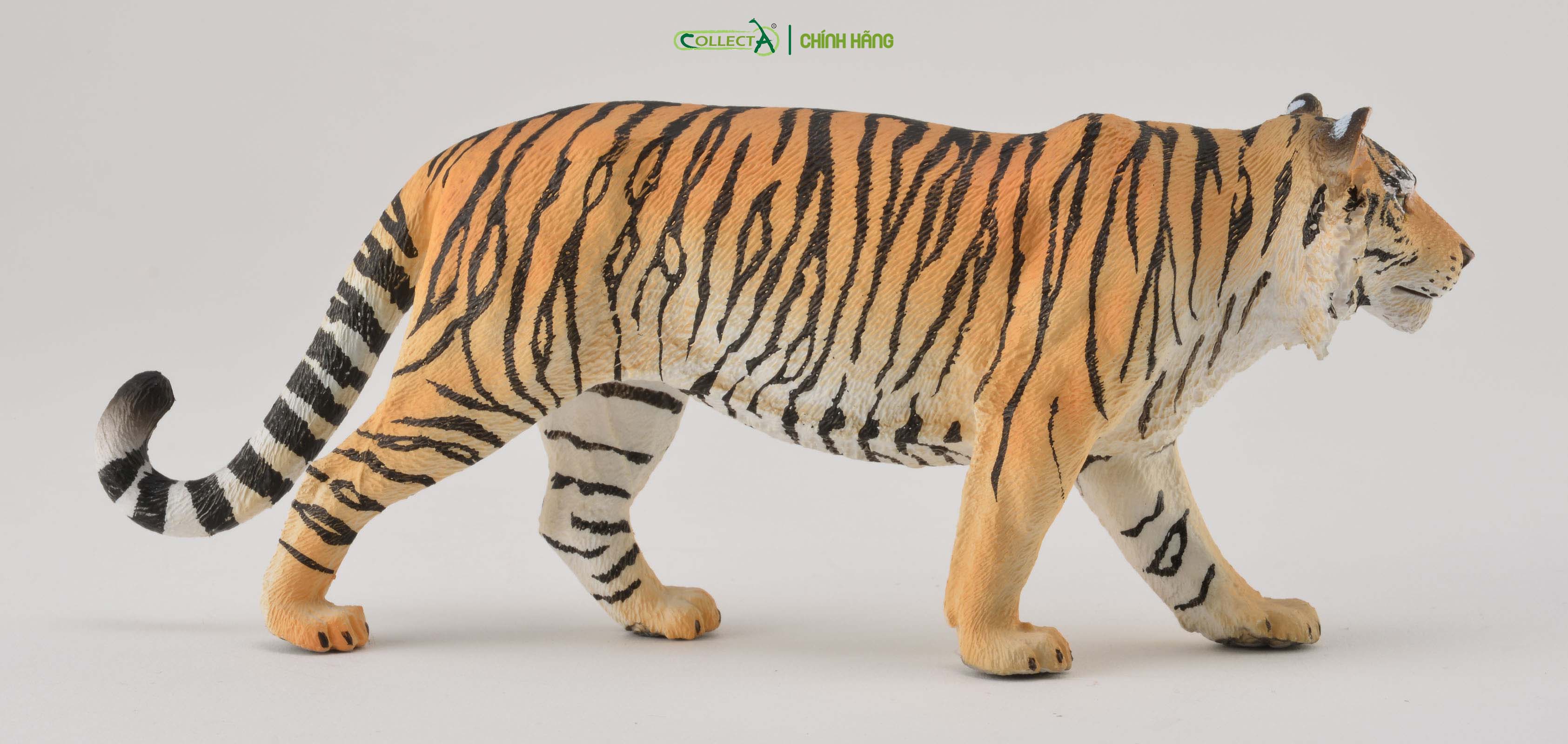 Đồ chơi mô hình động vật CollectA Hổ - Siberian Tiger