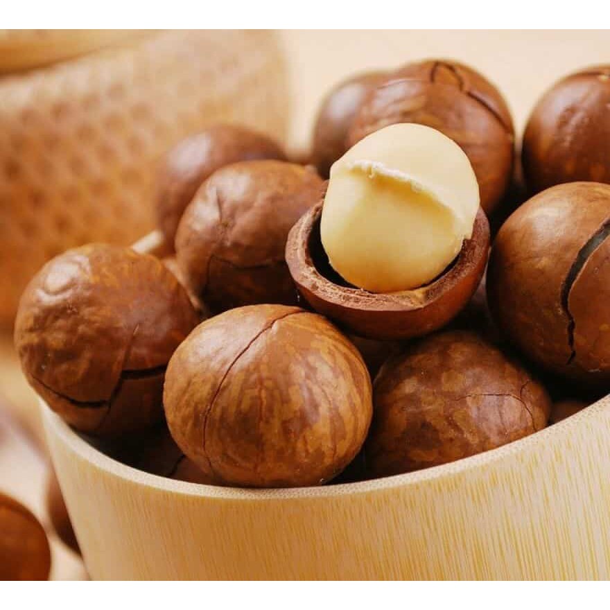 500gr hạt Macca Úc size nứt vỏ tự nhiên size đại