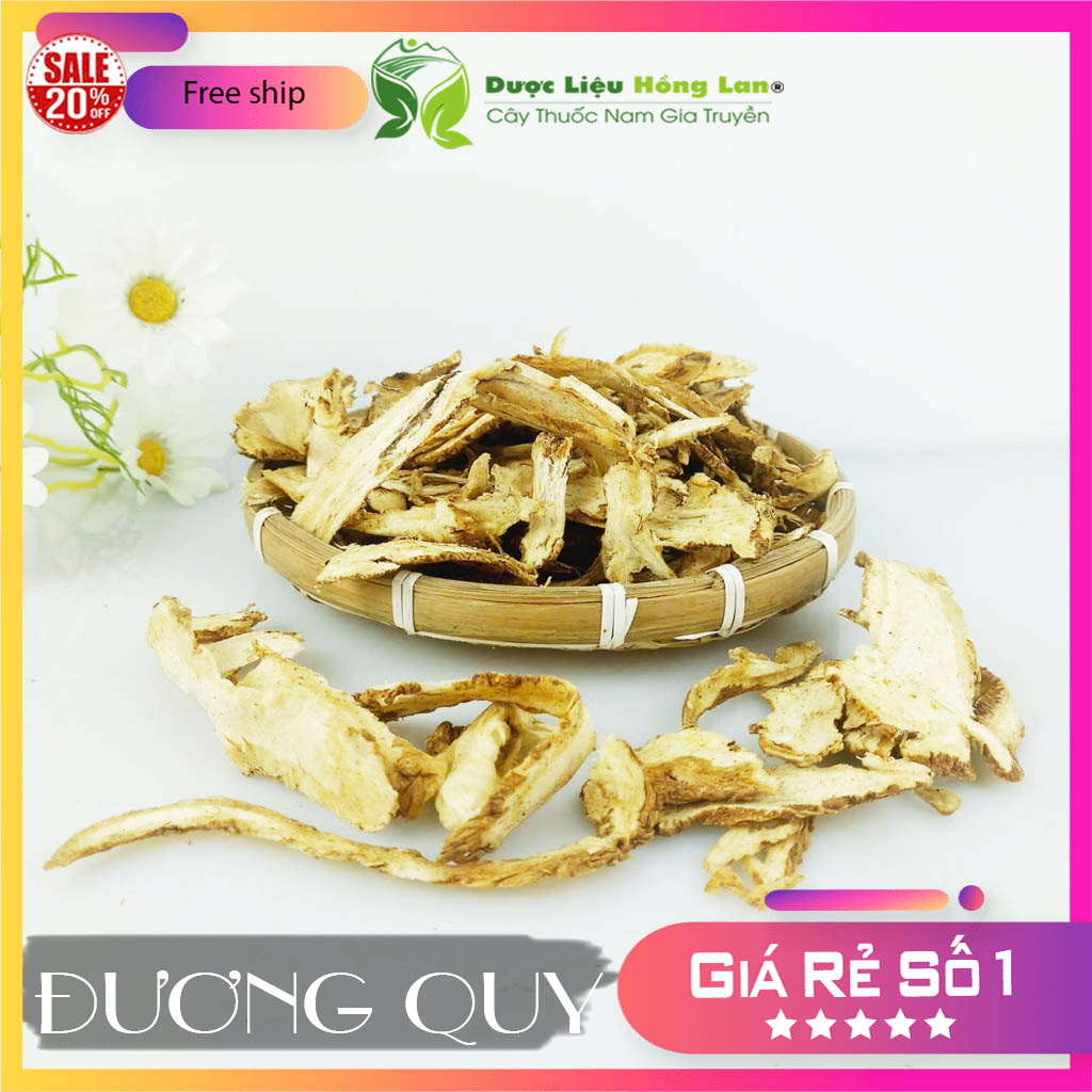 [FreeshipMAX] ✅[THƯỢNG HẠNG] 100g Đương Quy Củ đẹp loại 1 - (Hàng chính hãng)