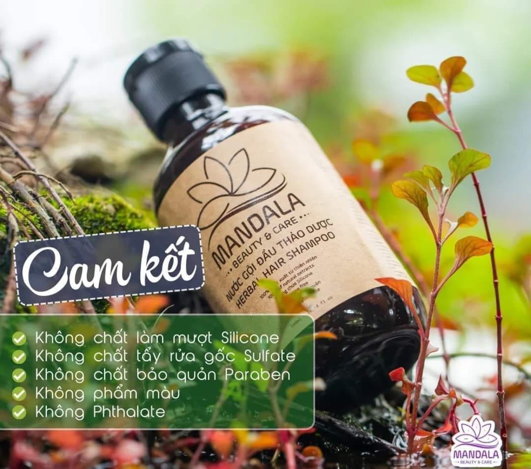 Nước gội thảo dược Mandala chai 300ml - 500ml
