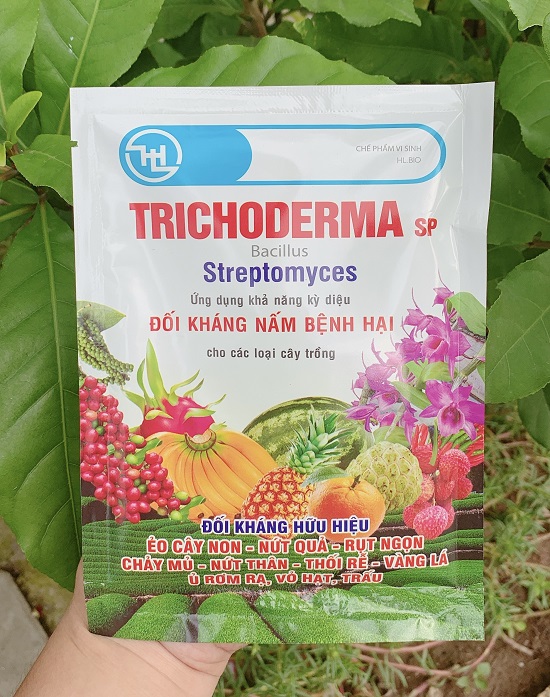 [FreeShip] Nấm Đối Kháng Trichoderma SP Bacillus - Streptomyces - 100Gr