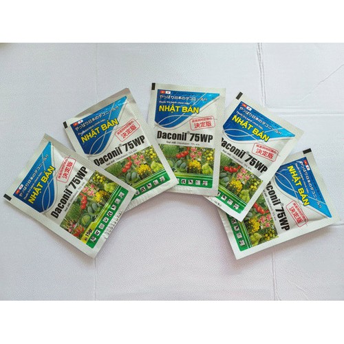 Thuốc trừ bệnh cây trồng Daconil 75WP
