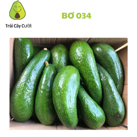 [HỎA TỐC HCM] Bơ  034 tươi ngon cực dẻo (3,4,5 trái )- 1kg - thơm ngon bổ dưỡng - Trái Cây Cười -