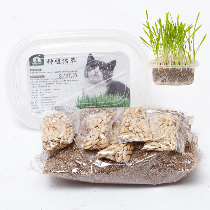 Bộ kit trồng cỏ mèo gồm (5 gói hạt giống cỏ mèo catnip, 5 gói nở pha lê hoặc đất dinh dưỡng, hộp trồng cỏ mèo)