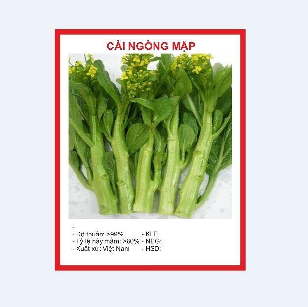 Combo 4 gói hạt giống rau cải ( cải ngòng + cải ngọt + cải xanh + cải chíp )