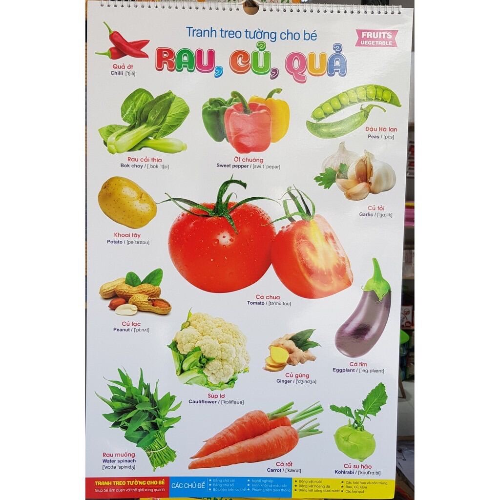 Tranh treo tường 14 chủ đề cho bé