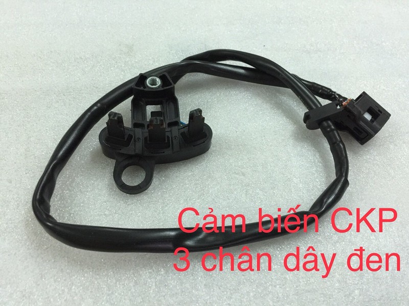 Cảm biến CKP cho lết lít 110 125 k35 sh pcx