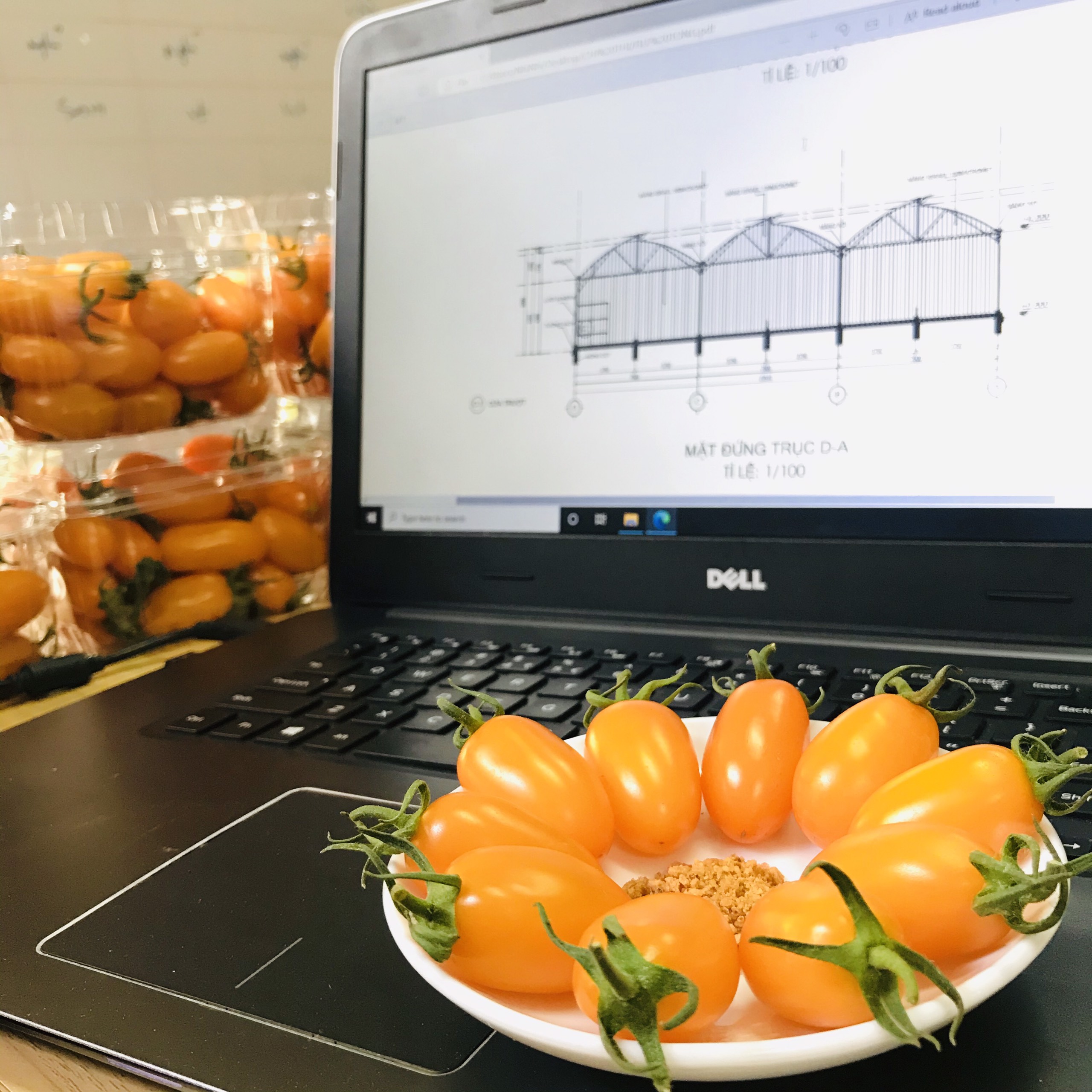 Cà trái cây Nova Dak Lak hộp 500 gram
