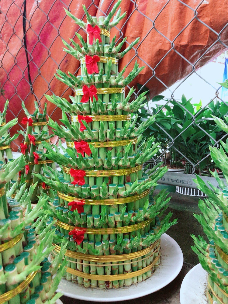 Trúc Phát Tài 9 Tầng