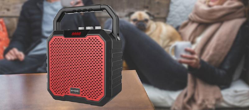 Loa bluetooth không dây karaoke 30W W-King K2