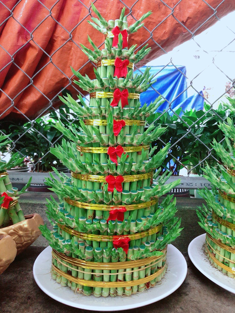 Trúc Phát Tài 9 Tầng