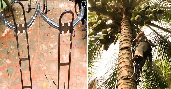 DỤNG CỤ LEO DỪA KIỂU ĐỨNG