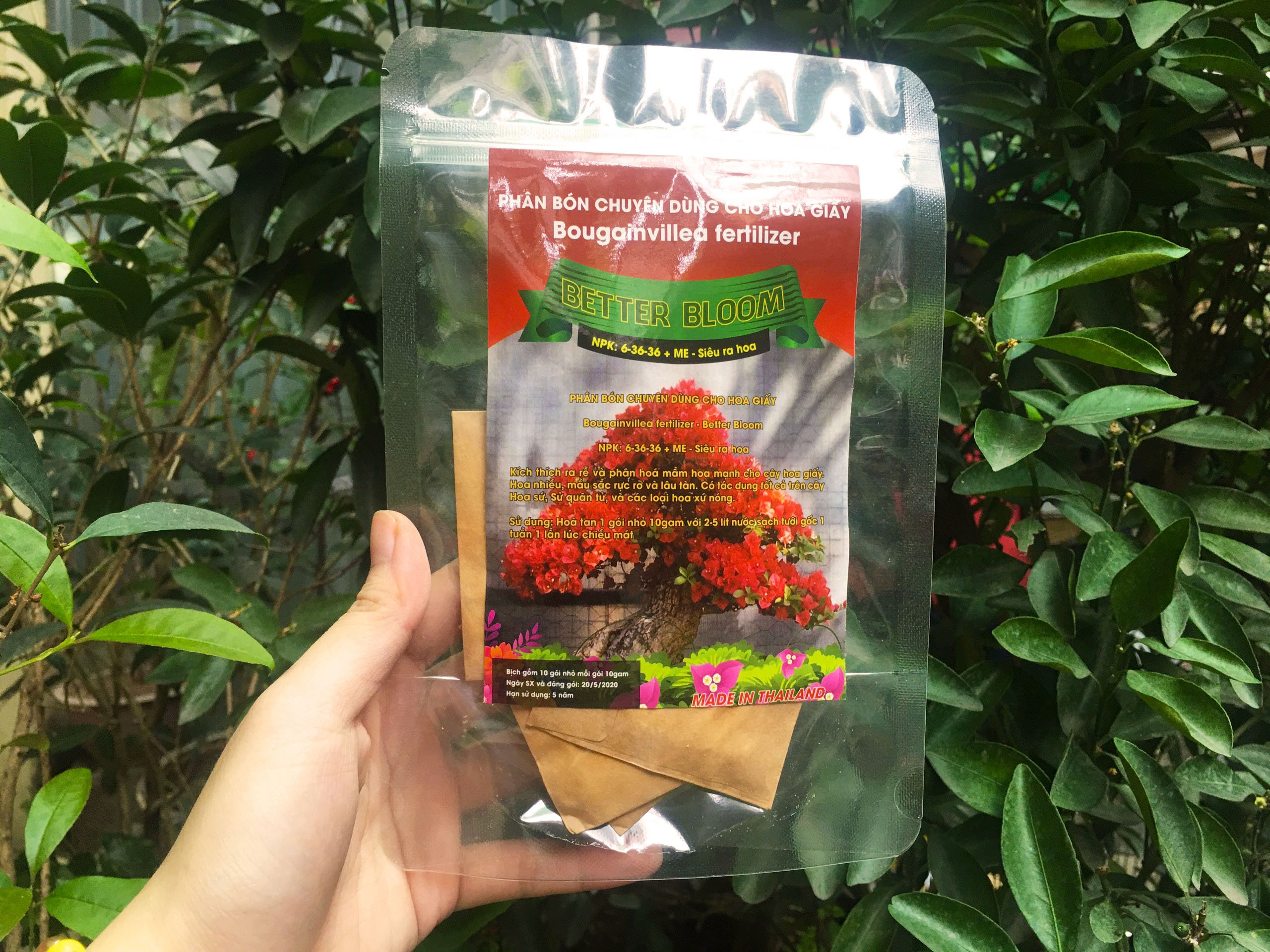 Phân bón kích thích ra hoa cho hoa giấy