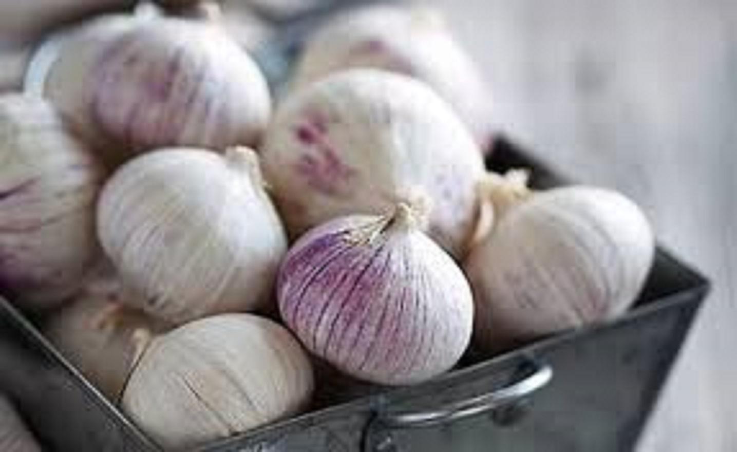 1kg tỏi cô đơn