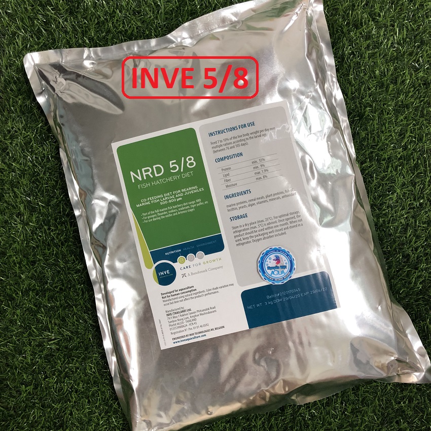 Cám Thái INVE 5/8 hủ 100g