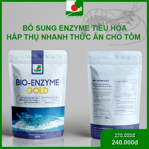 Tiêu hóa và hấp thu nhanh thức ăn cho tôm - men vi sinh thủy sản _ bio - enzyme gold