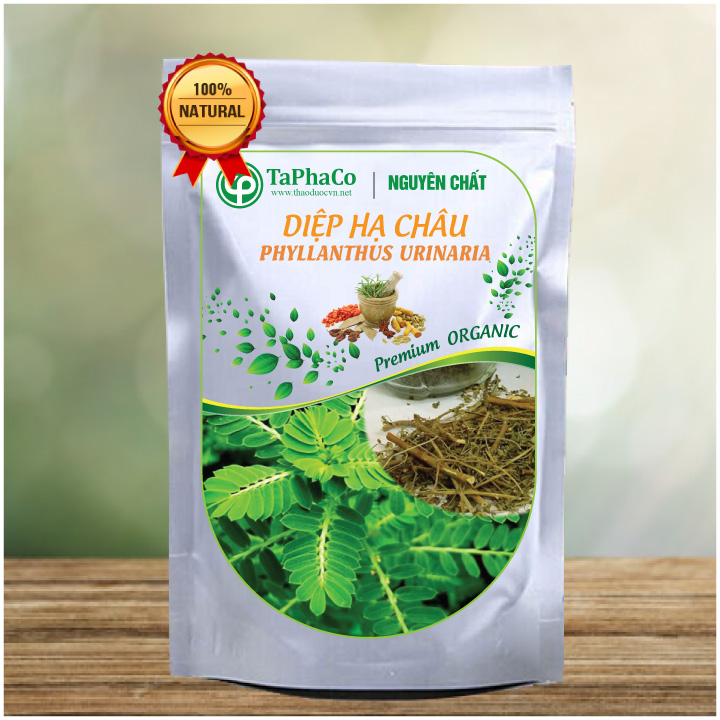 Diệp hạ châu khô 500g - tấn phát