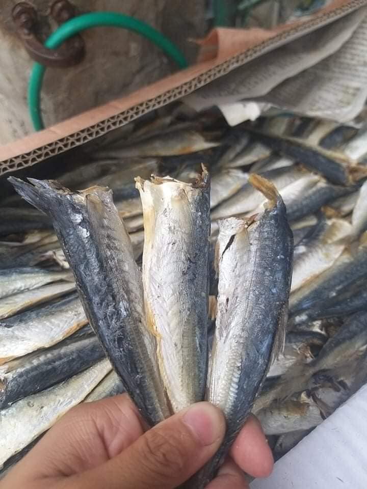 Bán sỉ 1 kg cá nục hấp nhạt