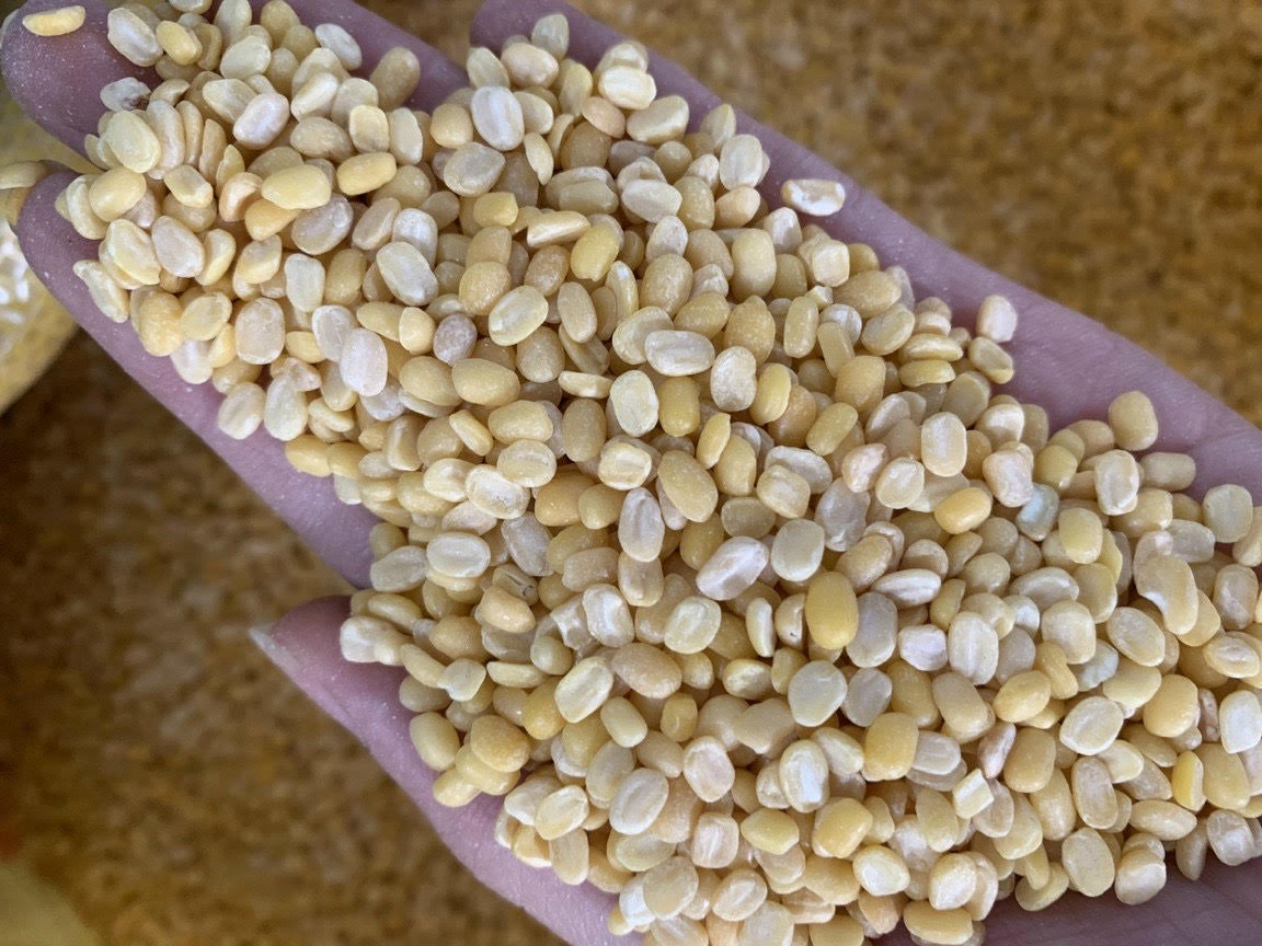 đậu xanh bóc vỏ khô cội(không màu)