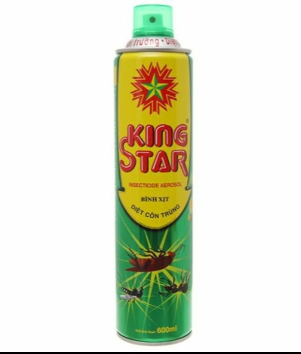 2 Bình xịt muỗi, kiến, côn trùng KING STAR 600ml