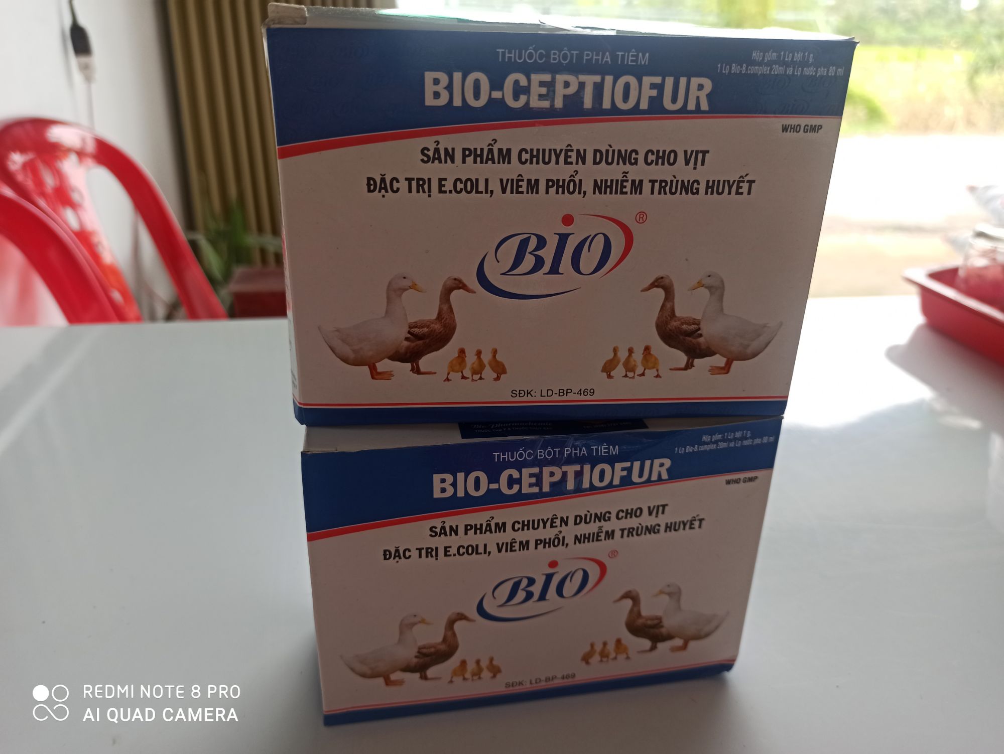 Bộ pha Tiêm ecoli bại huyết cho vịt