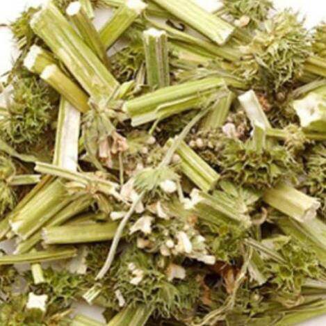 500gr cây ich mẫu khô hàng loại 1.