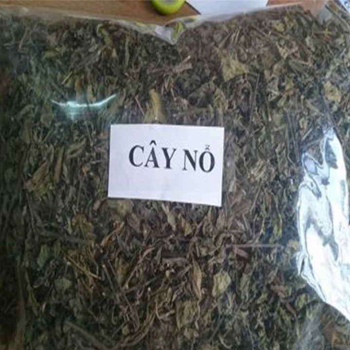 cây nổ hay sâm tanh tách khô 1kg