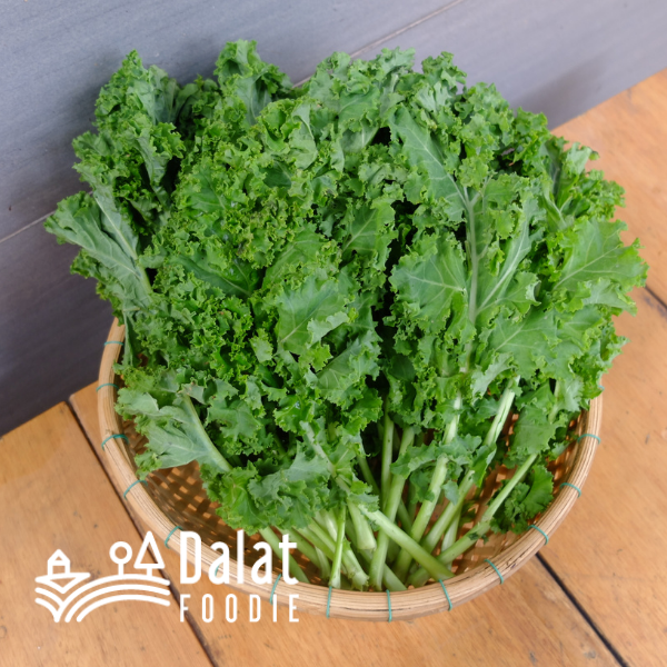 Cải Xoăn Kale hữu cơ 250G - [Giao hàng ngay tại TPHCM, Hà Nội]