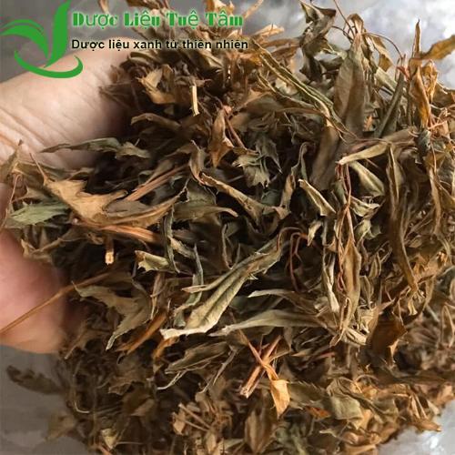 [HCM]Lá đinh lăng khô - Đinh lăng nếp lá nhỏ